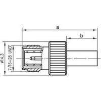 R-TNC connector Plug, straight 50 ? Telegärtner J01011R0003 1 pc(s)