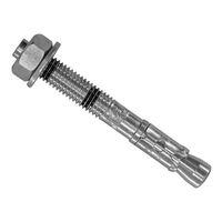 R-XPT Plated Throughbolt M10 x 1...