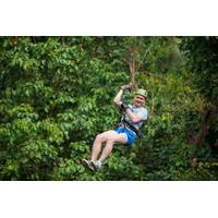 Rainforest Canopy Tour in Pattaya