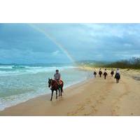 Rainbow Beach Horse Ride