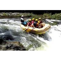 Rafting Class III and IV in Tenorio River from Playa Flamingo