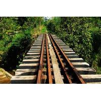Rail Adventure and Traditions Tour in Antioquia