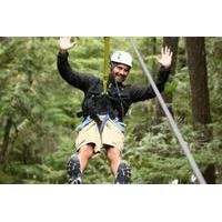 Rainforest Canopy Adventure from Vieux Fort or North Island, St Lucia