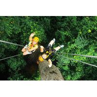 Rainforest Canopy Zipline Adventure from Bangkok