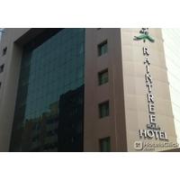 RAINTREE HOTEL ROLLA - BUR DUBAI