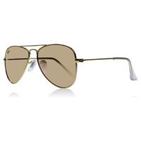 Ray-Ban Junior 9506S Sunglasses Gold 249-2Y 50mm