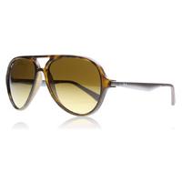 Ray-Ban 4235 Sunglasses Tortoise 894/85