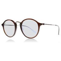 ray ban 2447n sunglasses shiny trasparent brown 62569u 49mm