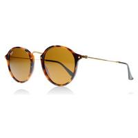 Ray-Ban 2447 Sunglasses Spotted Brown Havana 1160