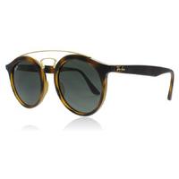 ray ban 4256 sunglasses tortoise gold 710 71 49