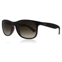 ray ban 4202 andy sunglasses brown 607313