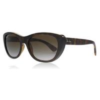 Ray-Ban 4227 Sunglasses Tortoise 710/T5 Polariserade 55mm