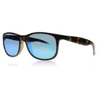 Ray-Ban 4202 Sunglasses Tortoise 710-9R