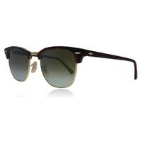 Ray-Ban 3016 Sunglasses Tortoise / Gold 990-9J