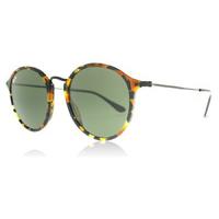 Ray-Ban 2447 Sunglasses Spotted Black Havana 1157