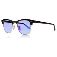 ray ban 3016 sunglasses brown gold 990 7q 49mm