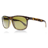 Ray-Ban 4226 Sunglasses Tortoise 710/73