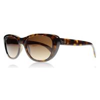 Ray-Ban 4227 Sunglasses Tortoise 710/13