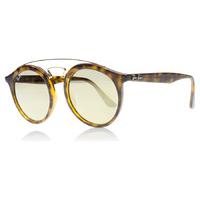 Ray-Ban 4256 Sunglasses Matte Tortoise / Gold 6092-5A