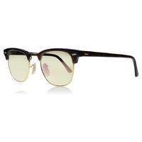 ray ban 3016 sunglasses tortoise gold 990 7o 49mm