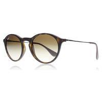 ray ban 4243 sunglasses tortoise silver 86513 49mm