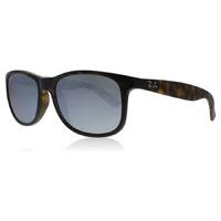 Ray-Ban 4202 Sunglasses Tortoise 710-Y4 Polariserade 55mm