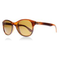 ray ban 4203 sunglasses light dark brown 82073 51mm