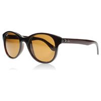 ray ban 4203 sunglasses shiny brown 714