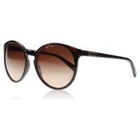 Ralph 5162 Sunglasses Tortoise 502/13