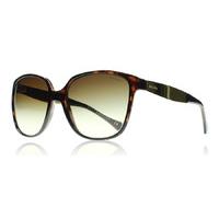 ralph 5173 sunglasses tortoise 50213