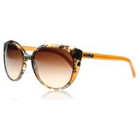 Ralph 5161 Sunglasses Tortoise and Orange 115213