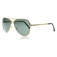 ralph 4107 sunglasses gold 50071