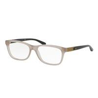 Ralph Lauren Eyeglasses RL6159Q 5538