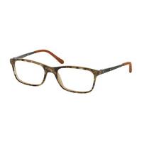 Ralph Lauren Eyeglasses RL6134 5427