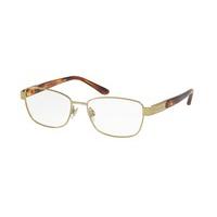 Ralph Lauren Eyeglasses RL5096Q 9116