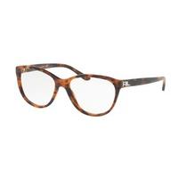 Ralph Lauren Eyeglasses RL6161 5017