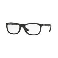 Ray-Ban RX8951 Active Lifestyle Eyeglasses 5603