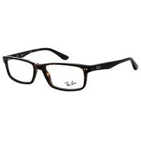 Ray-Ban RX5277 Active Lifestyle Eyeglasses 2012