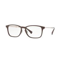 Ray-Ban RX8953 Eyeglasses 8028