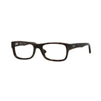 Ray-Ban RX5268 Youngster Eyeglasses 5211