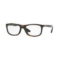 Ray-Ban RX8951 Active Lifestyle Eyeglasses 5604