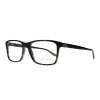 Ralph Lauren RL6141 5003 Tortoise