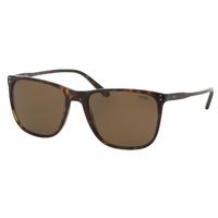 ralph lauren ph4102 500373 havana