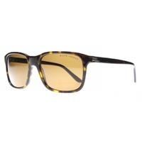 Ralph Lauren RL8142 5003/83 Tortoise