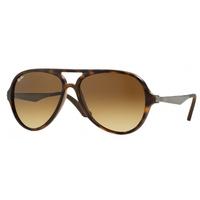 Ray-Ban RB4235 894/85 Havana