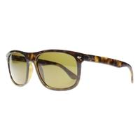 ray ban rb4226 71073 havana