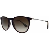 Ray-Ban RB4171 Erika 631513 Transparent Brown