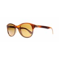 Ray Ban RB4203 820/73 Striped Havana