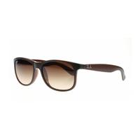 Ray-Ban Andy RB4202 6073/13 Brown