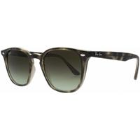 Ray-Ban RB4258 731/E8 Havana Grey